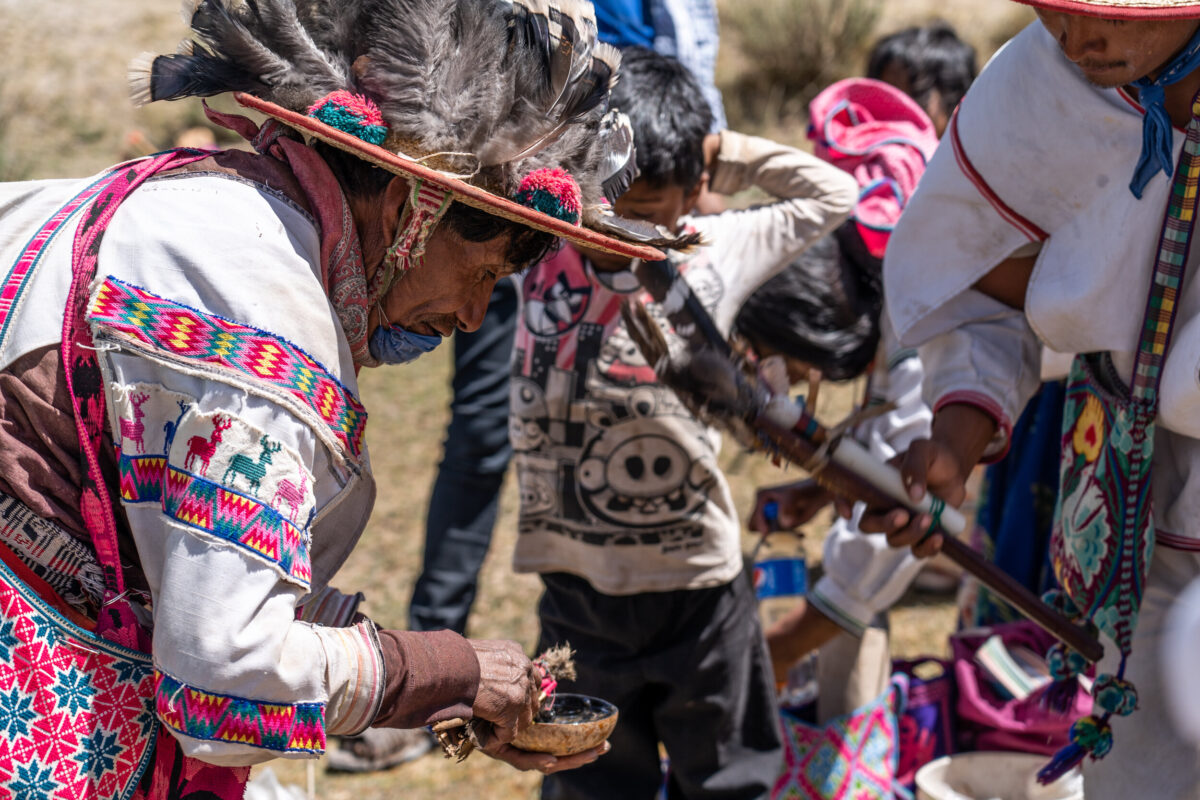 peyote Cactus For Sale